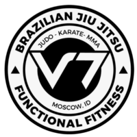 V7 Brazilian Jiu Jitsu and Functional Fitness